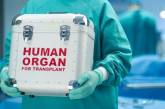 Запуск системы трансплантации органов отложили на 2021 год