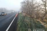 На Николаевщине «Мицубиси» врезался в дерево: погибла пассажирка