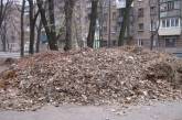 В середине декабря Сенкевич призвал чиновников усилить работы по вывозу листвы с улиц Николаева