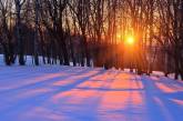 Зимнее солнцестояние. Сегодня самый короткий день в году и начало астрологической зимы