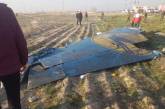Нет доказательств, что украинский самолет МАУ сбил Иран, - Еврокомиссия