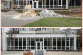 В центре Николаева «в рамках реконструкции» спилили два каштана