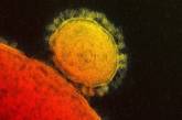 В Китае четвертый человек умер от нового коронавируса