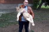 В Николаевском зоопарке не знают, куда девать новорожденных львят и тигрят