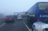 Массовое ДТП на трассе Одесса-Киев: столкнулись автобус, фура и легковушки, есть жертвы. ОБНОВЛЕНО