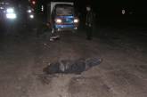 В Николаевской области мини-грузовик насмерть сбил женщину