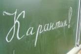 В Николаеве на карантин из-за гриппа и ОРВИ закрыли еще 9 школ