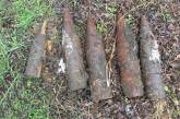 В лесу на Николаевщине нашли пять артиллерийских снарядов