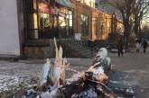 В Николаеве дерево рухнуло на магазин секонд-хенда
