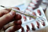 В Украине увеличилось количество жертв гриппа