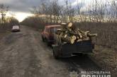 На Николаевщине задержали  браконьера, который незаконно рубил клены