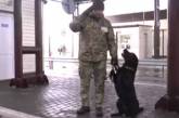 Пограничники научили служебную собаку дважды лаять в ответ на «Слава Украине!» Видео