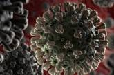 Китайский коронавирус не опасен для детей, - СМИ