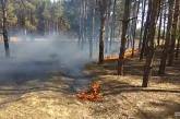 В Матвеевском лесу под Николаевом вспыхнул пожар