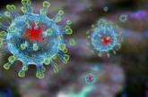 В Украине не подтверждено ни одного случая заболевания новым коронавирусом - МОЗ
