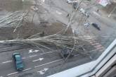 В Николаеве упавшие деревья перекрыли проезд по проспекту Центральному и ул. Космонавтов
