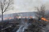 На Николаевщине неизвестные трижды поджигали камыш: горело более 4 га