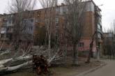 В Николаеве после массового «древопада» горожане просят спилить тополя возле домов