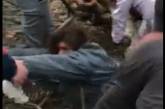 Губернатор Николаевщины лично спас девушку, которую привалило деревом. Видео