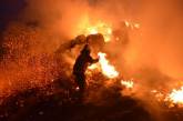 На Николаевщине произошел масштабный пожар тюкованной соломы