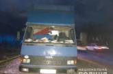 На Николаевщине грузовик сбил велосипедиста