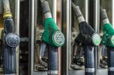В Антимонопольном комитете прогнозируют снижение цен на бензин на украинских АЗС