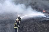 На Николаевщине пожарные тушили более 5 га сухостоя и камыша