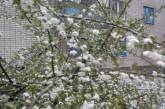 В Украину вернутся мороз и снег: когда ждать резкого похолодания