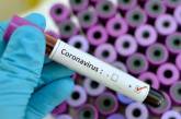 Всего за сутки 20 марта в Украине было 80 новых подозрений на коронавирус