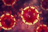 У двух волынян экспресс-тесты на коронавирус показали положительный результат