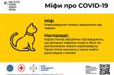 В Минздраве сообщили, можно ли заразиться коронавирусом от кошек и собак