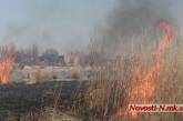 В Николаевской области из-за умышленных поджогов за сутки сгорело 5,5 га камыша