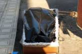 Под Тернополем тело умершего от коронавируса выдали в черном пакете, который пришлось тянуть по земле