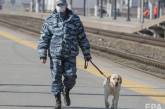 В России открыли первое уголовное дело за побег из-под карантина