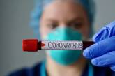 В Украине 480 заболевших COVID-19 — умерли 11 пациентов