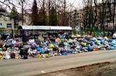 «Будут бегать крысы и мы получим мусорный коллапс»: в Николаеве упали платежи за вывоз ТБО