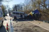Возле Кропивницкого столкнулись микроавтобус и грузовик: семь человек травмированы
