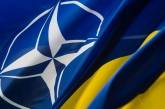США поддерживают членство Украины в НАТО