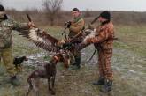 В Одесской области полицейские убили редкого орла, внесенного в Красную книгу