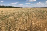На Николаевщине фермер незаконно использовал земли, общая стоимость которых 3 млн грн