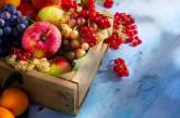 Потери урожая фруктов и ягод от апрельских заморозков в Украине составят до 80% - эксперты