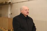 «Как на удаленке доить коров?»: Лукашенко раскритиковал работу из дома
