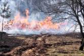 Пожар в лесу Чернобыльской зоны отчуждения тушат с помощью самолетов и вертолетов