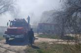 В Николаеве на Намыве масштабно горит камыш: есть вероятность дальнейшего распространения огня