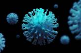 За сутки в мире заразились коронавирусом более 77 тысяч человек - ВОЗ