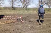 На Николаевщине пиротехники уничтожили 27 взрывоопасных предметов