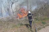 За сутки на Николаевщине выгорело 12 гектаров территории