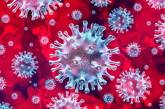 Количество зараженных коронавирусом в Украине выросло до 3 372 человек: на Николавщине 5