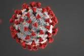 В Пентагоне сомневаются, что коронавирус появился искусственным путем, а не естественным  
