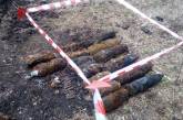 На Николаевщине пастух нашел в поле 3 снаряда: прибывшие спасатели обнаружили рядом еще 29